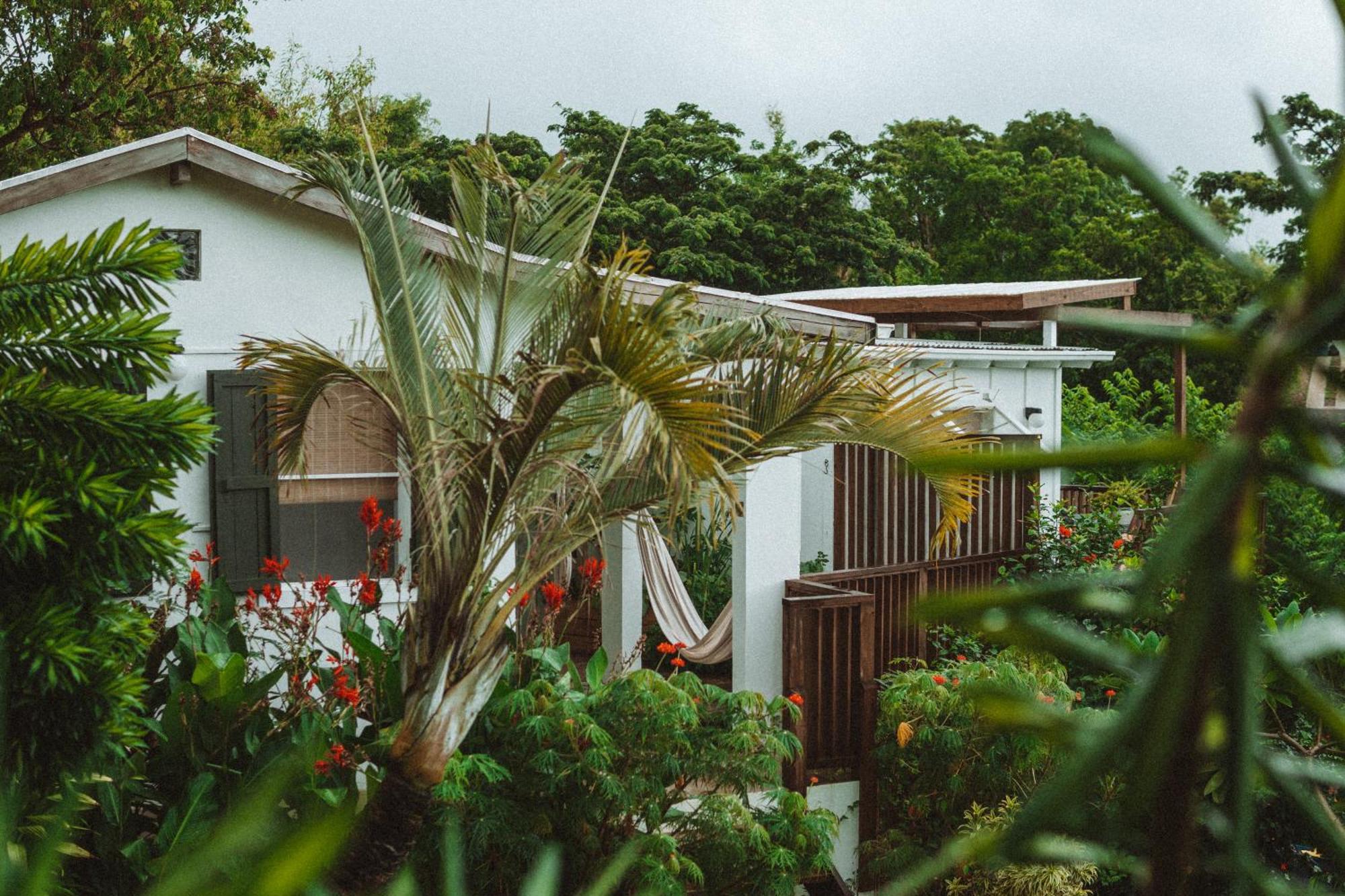 Finca Victoria Vieques Dış mekan fotoğraf